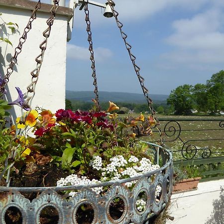 Dean Valley Panorama Bed & Breakfast Lydney Exterior photo