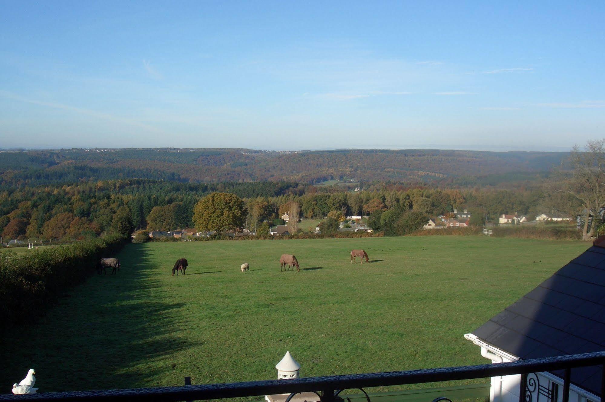Dean Valley Panorama Bed & Breakfast Lydney Exterior photo